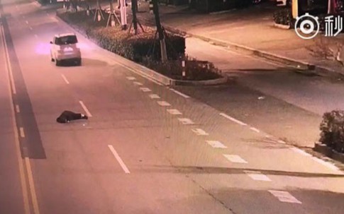 Chồng say rượu ngã khỏi xe mà vợ không hay biết