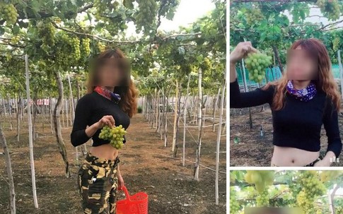 Hai nữ phượt thủ bị tố tự do chụp ảnh, ăn nho ngay trên giàn