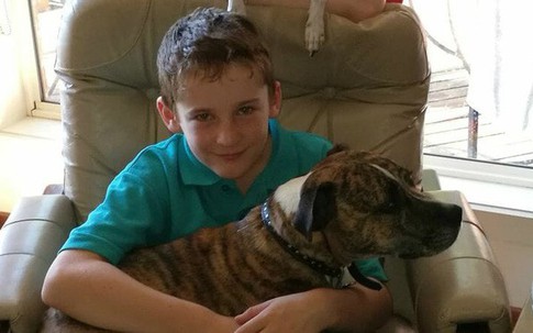 Con trai 10 tuổi qua đời vì tai nạn giao thông, cha mẹ không chôn cất ngay lập tức