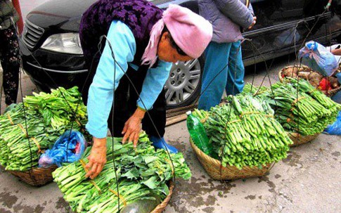 Đến Lạng Sơn không thể bỏ qua những loại rau tuyệt ngon này