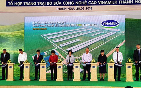 Thanh Hóa: Vinamilk đưa vào khai thác trang trại bò sữa 700 tỉ đồng