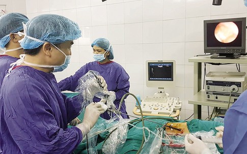 Thực hư việc ăn nhiều tôm, cua làm gia tăng nguy cơ bị sỏi thận?