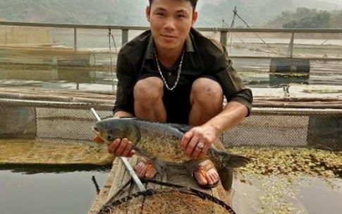 Chàng trai 9X lãi hơn 100 triệu/năm nhờ nuôi cá trên sông Đà
