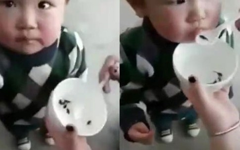 Mẹ cho con ăn nòng nọc sống để khỏe mạnh