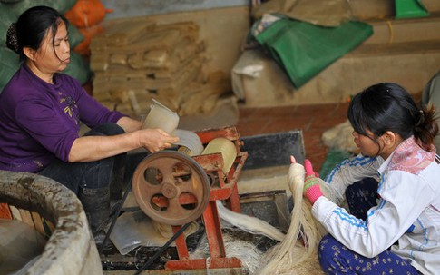 Thăm làng sản xuất miến lâu đời lớn bậc nhất Việt Nam