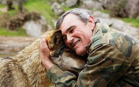 Người đàn ông được sói nuôi 12 năm thất vọng khi sống với con người