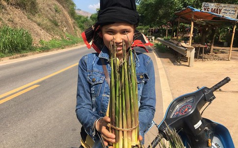 Chị gái người Thái "đút túi" kha khá mỗi ngày nhờ bán măng loi rừng