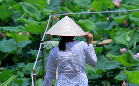 Đợt nắng nóng gay gắt nhất từ đầu năm ở miền Bắc sẽ kéo dài bao lâu?