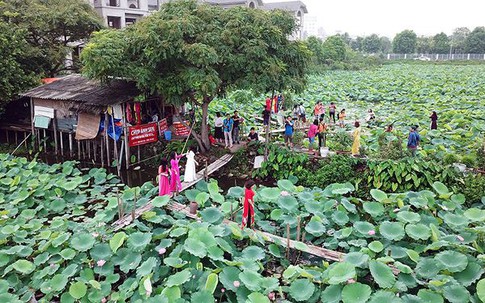Ăn theo mùa sen Hồ Tây, kiếm tiền triệu mỗi ngày