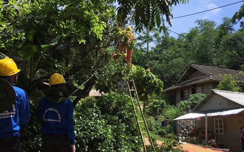 Hãy đồng hành cùng chúng tôi sử dụng điện an toàn, tiết kiệm và hiệu quả