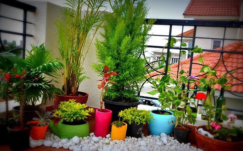 Mở cửa phòng ngủ, nàng dâu tức nghẹn chứng kiến cảnh khó tin