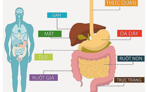 Tầm soát ung thư tiêu hóa để ung thư không còn là mối nguy khó lường