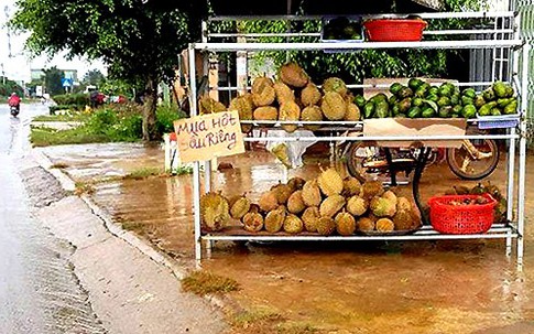 Lâm Đồng: Hạt sầu riêng 90.000 đồng/kg vẫn "sốt"