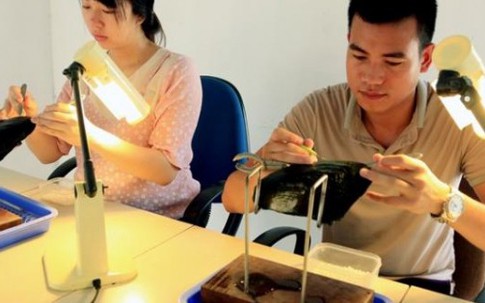 9X nuôi loài ngậm miệng nhả ngọc, có viên to bán được 6 triệu đồng