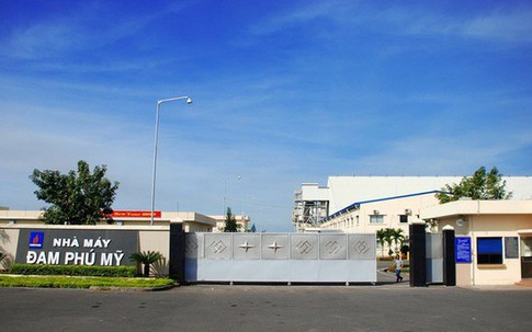 Cổ phiếu DPM liên tục giảm, vì sao?