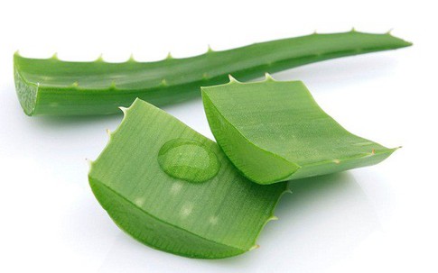 9 tác dụng phụ của lô hội (nha đam) nhiều người chưa biết