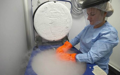 Dịch vụ đông lạnh não chờ hồi sinh giá 100.000 USD