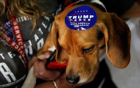 Chó ở Mỹ vạ lây vì cuộc chiến thương mại của ông Trump