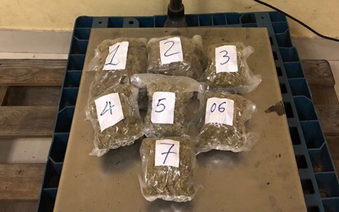 Cần sa giấu trong mỹ phẩm, đồ ăn từ Mỹ về TP HCM