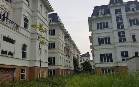 Kỳ lạ hơn 600 biệt thự phong cách châu Âu mọc đầy cỏ dại