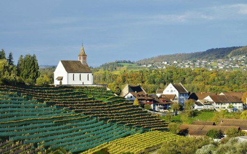 Dân làng Thụy Sỹ được chia gần 2.600 USD mỗi tháng