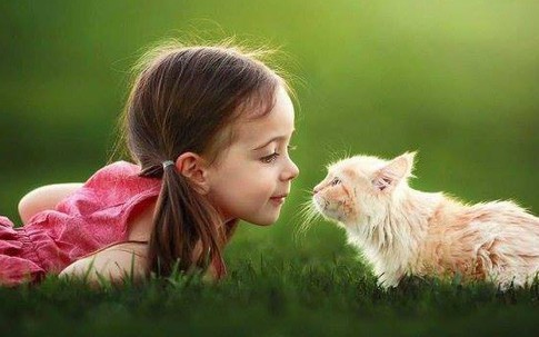 Giun sán trong cơ thể, nhiều người lầm tưởng khối u