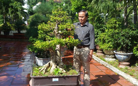 Cựu thợ điện kiếm tiền tỷ từ vườn cây cảnh