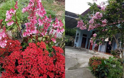 Ngôi nhà hoa trên đồi của phó hiệu trưởng ở Tuyên Quang