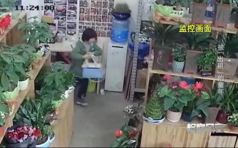 Cho băng đảng trộm cắp "thuê con" để trục lợi, bố mẹ bị tước quyền giám hộ