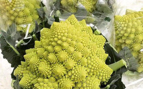 Dán mác hàng Nhật, cây súp lơ giá chát 250 ngàn đồng