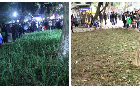Vườn hoa hồ Gươm bị 'san phẳng' sau đêm giao thừa