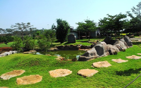 Thâm cung bí sử (167 - 3): Sống bên cạnh người chết