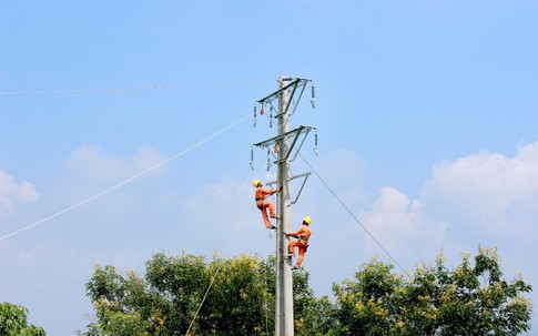 Công ty Điện lực Phú Thọ góp phần tích cực phát triển kinh tế, xã hội ở địa phương