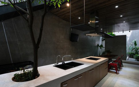 Ngôi nhà ấn tượng với vườn mọc ngay trong bếp