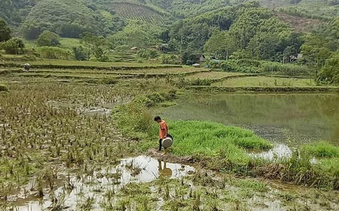 Cậu bé 10 tuổi sống cô độc, đi hàng trăm cây số đưa thi thể bố về chôn cất