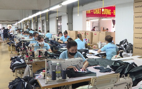 Thái Bình: Chú trọng đẩy mạnh công tác giải quyết việc làm cho người lao động