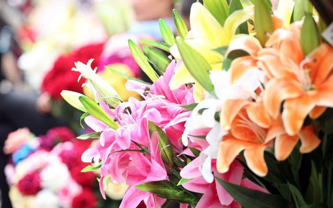 Hoa lụa giả đẹp như thật và nhiều loại hoa mới hút khách chơi Tết giữa Thủ đô