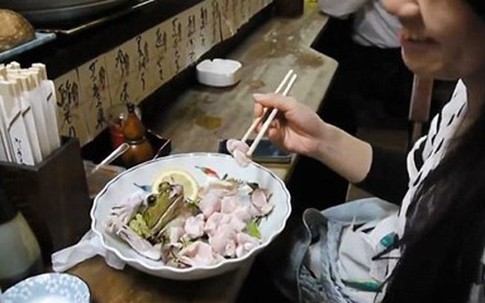 Sashimi ếch và sinh tố ếch sống thách thức sự can đảm của thực khách