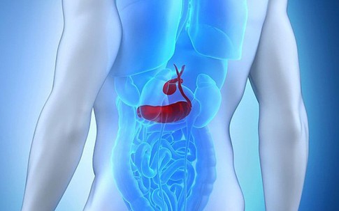 Ung thư tụy gây tử vong cao, liên quan đến 6 yếu tố: Ai cũng nên phòng ngừa từ trứng nước