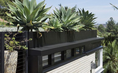 Ngôi nhà có mái phủ đầy cây xanh