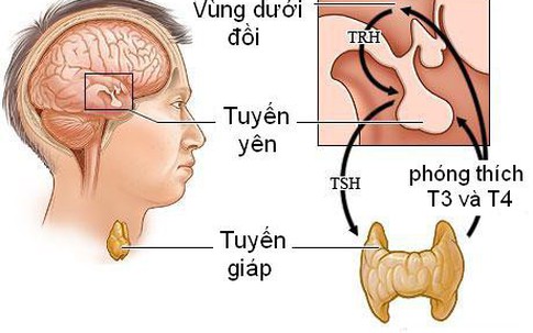 Những lý do khiến bạn không thể giảm cân