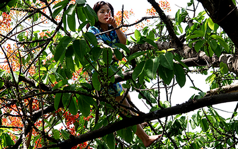 Dấu hiệu nhận biết người nghiện ma túy đá