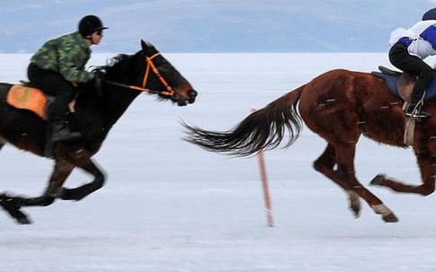 "Lác mắt" với màn đua ngựa trên băng ở Nga