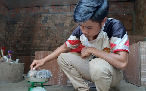 "Đàn chuột" đẻ ra tiền của 9X Gia Lai