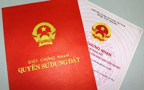 Chiêu đẩy bố mẹ ra đường của cậu quý tử