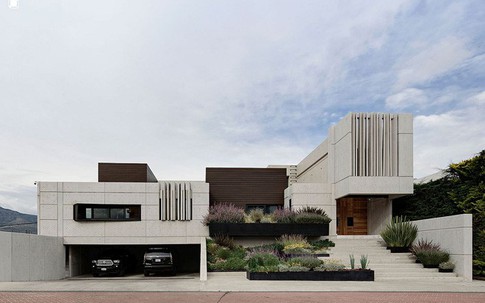 Ngôi nhà trồng nhiều thảm thực vật xanh có không gian như đang lạc vào một triển lãm nghệ thuật