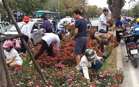 Lãnh đạo Công ty cây xanh Hà Nội nói gì về clip người dân dùng ô tô “hôi” hoa trang trí sau Hội nghị thượng đỉnh Mỹ - Triều?