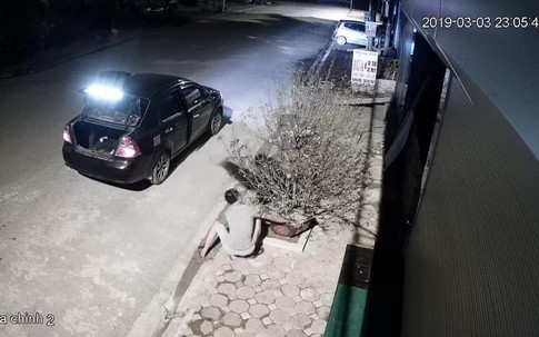 Đôi nam nữ đi xế hộp chung tay bê trộm cây đào rồi 'lặn' mất trong đêm khuya thanh vắng
