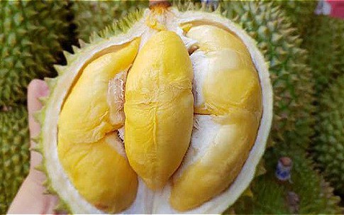 Sầu riêng tăng giá mạnh