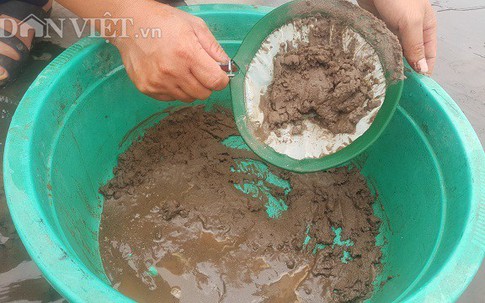 Nghề lạ ở Ninh Bình: Cân cát lấy tiền, cứ 1 kg bán hơn 1 triệu đồng